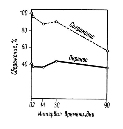 . 25.          (    ).            ( ) ( , 1936, . 332)