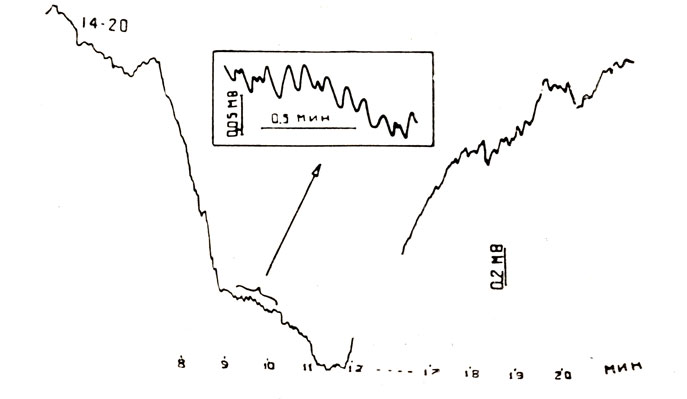 . 1.  ''       -        .           ,   9- .    -    .   - 0,2 