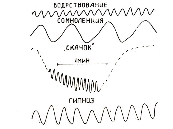 . 2.         ,  : 1)   - 8 /; 2) -  - 2 /; 3)     -  ''   16 /; 4)   -   3-5 /.   - 1 