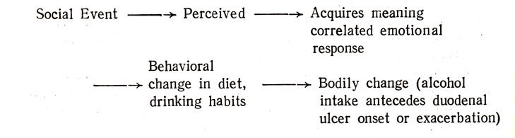 External Loop Model A