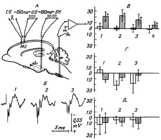 ���. 5. ��������� ������� ��������� ��������: � - ����� ����������� ������������� � ��������� ����������; ������� ������� ��������� (��) ����� �������������� �������������; � - ������� ������� ����������� ������� ����������� ������: 1 - �� ���������, 2 - ����� ���������, 3 - ����� ��������; � - ��������� ��������� ������� � �������������� (�������������� ��������) ����������� ����������� ������ �� ������ ���� ������, �������� - ��������� � ��������� � �������� �� ���������, ��������� �� 100%, 1 - �� ����� ���������, 2, 3, 4 - ���������������� ����� ��������; � - ������� ���������� ������������, ���������������� �������� �������� (1), 2 � 3 - �������������; � - ��������� �������� ����������� ��� ���������� ������������, 2 � 3 - �������������. ��������� ��������� � ������