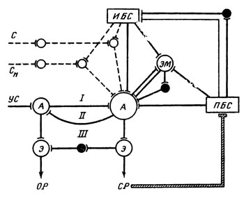 ���. 6. ����� �������������� ��������� (����������� �����) � ��������� �������� (�������� �����): I - ������ �������� �����; II - �������� ������������ �������� �����; III - �������� ���������� �����; ������ ������ - ��������� ��������; ������ ����� - ����������� ������� �������������� �������; �������������� ����� - ���������������� �������� �������; � - �� - �������������� �������; �� - �������� ������; ��� - ������������ ����������� ������; ��� - ������������� ����������� ������; � - ����������� �������� ���������; � - ����������� �������� ���������; �� - ��������������� �������; �� - ������������� �������; �� - ������