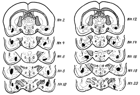 ���. 11. ���������������� ����� ����������� �������������� ��������� � 10 ����