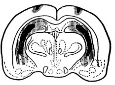 ���. 16. ���������������� ����� ������������� ���������� ����������: ����������� ������������ ����� �����������, ������ ������ ������� ����������� �����