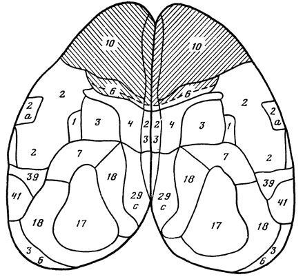 ���. 19. ���������������� ����� �������� ����������� �������� ����������� � ����