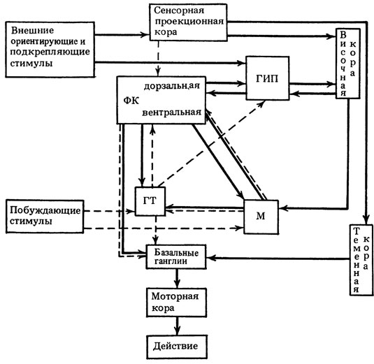 ���. 20. ����� �������������� �������� �������� � �������� ����������� �������������� ����